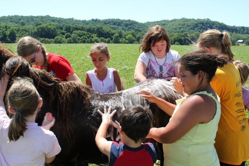 Pony Campers Washing Ginger