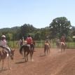 Riding in the summer