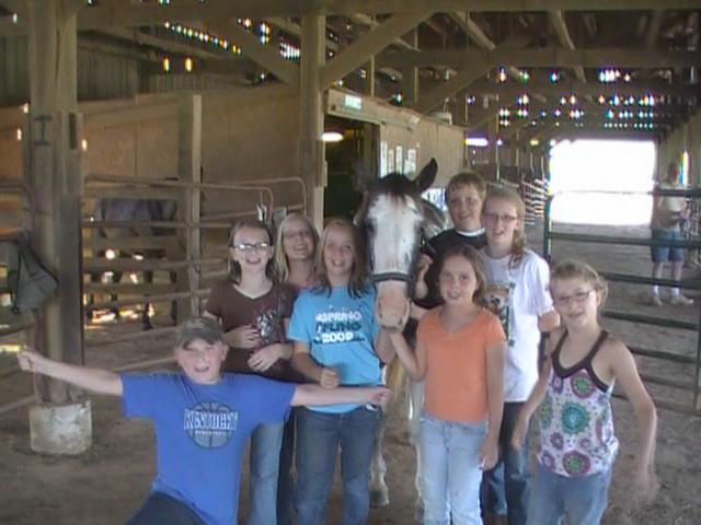 summer horse camps